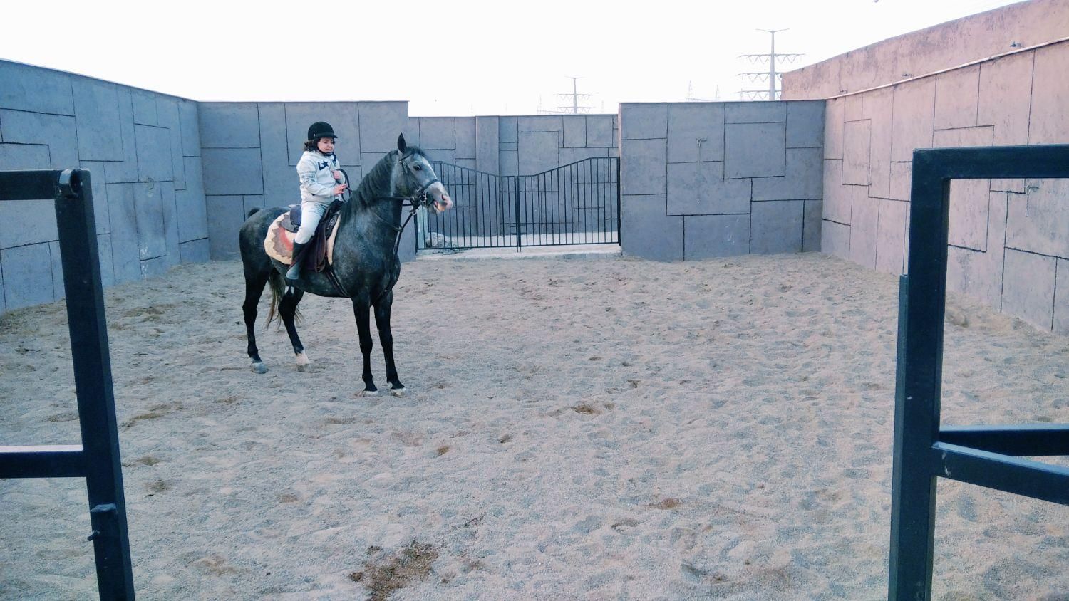 پانسیون و نگهداری اسب|خدمات پیشه و مهارت|اصفهان, خاتونآباد|دیوار