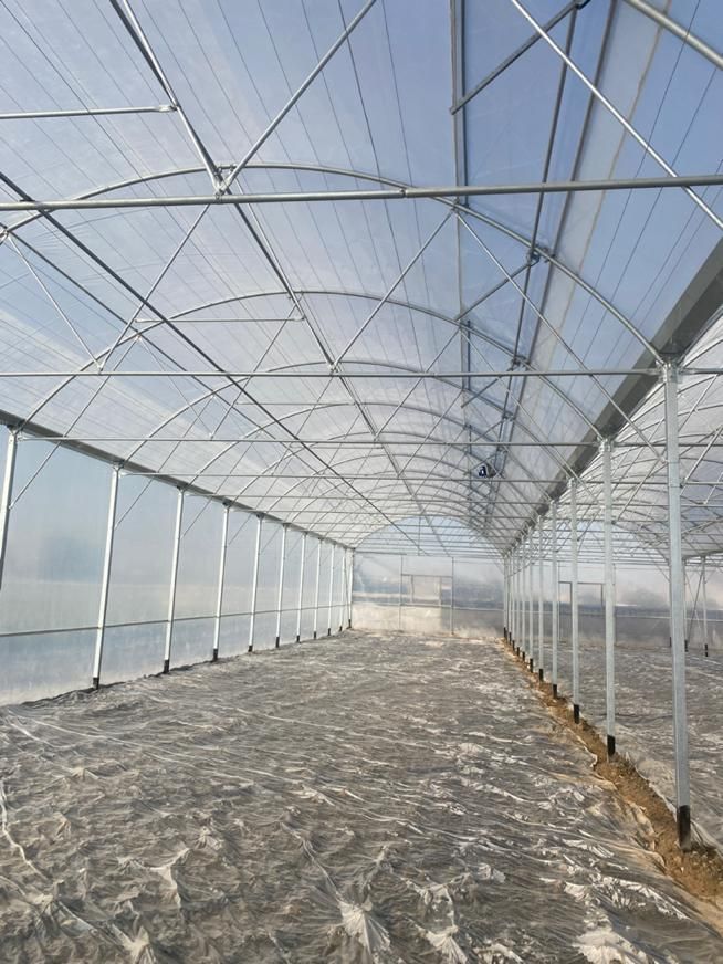 ساخت انواع سازه گلخانه(صفرتاصد،نقد و اقساط)|عمدهفروشی|شهرکرد, |دیوار