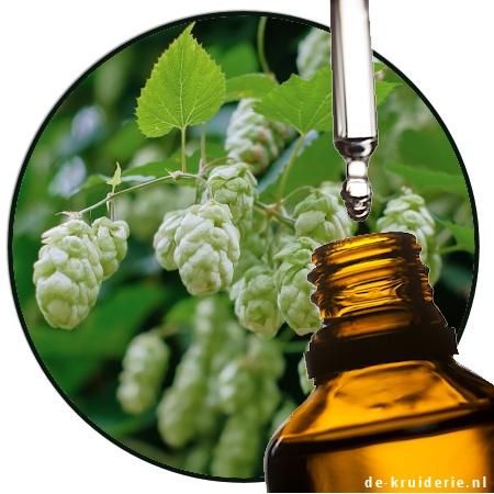 عصاره گیاه رازک،تلخ کننده طبیعی دلستر و آبجو|خوردنی و آشامیدنی|تهران, نجات اللهی|دیوار