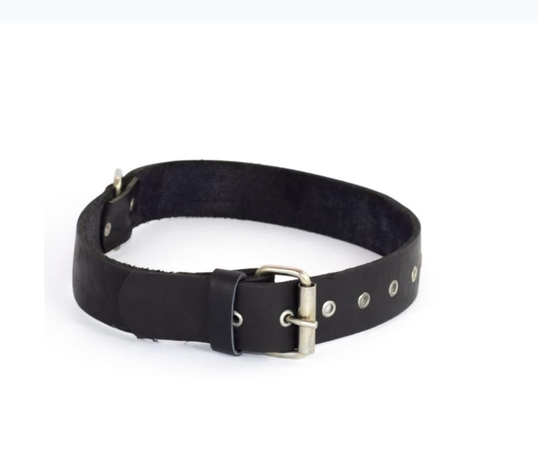 قلاده چرم|لوازم جانبی حیوانات|تهران, بازار|دیوار