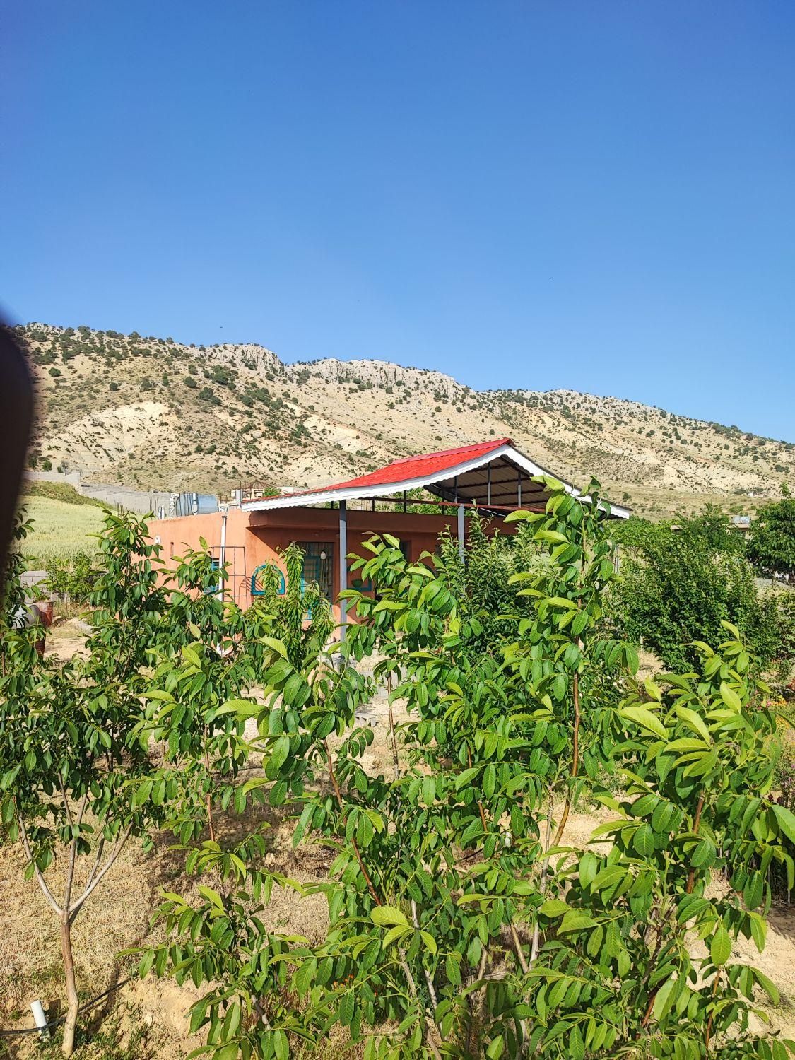 جوشکاری سیار و طراحی و اجرای انواع الاچیق|خدمات پیشه و مهارت|یاسوج, |دیوار