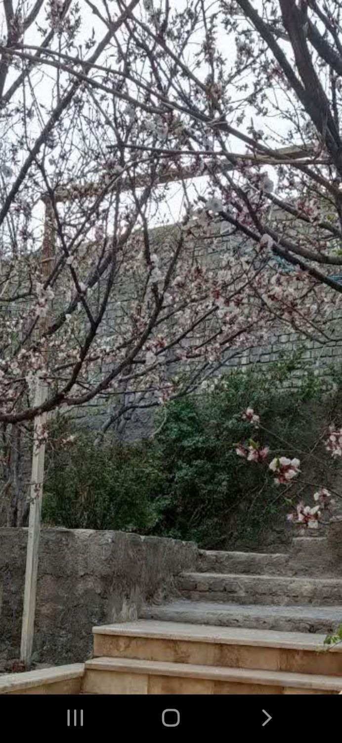 پاییز.   زیبا وبه یاد ماندنی در  کوهستان|اجارهٔ کوتاه‌مدت ویلا و باغ|قم, پردیسان|دیوار
