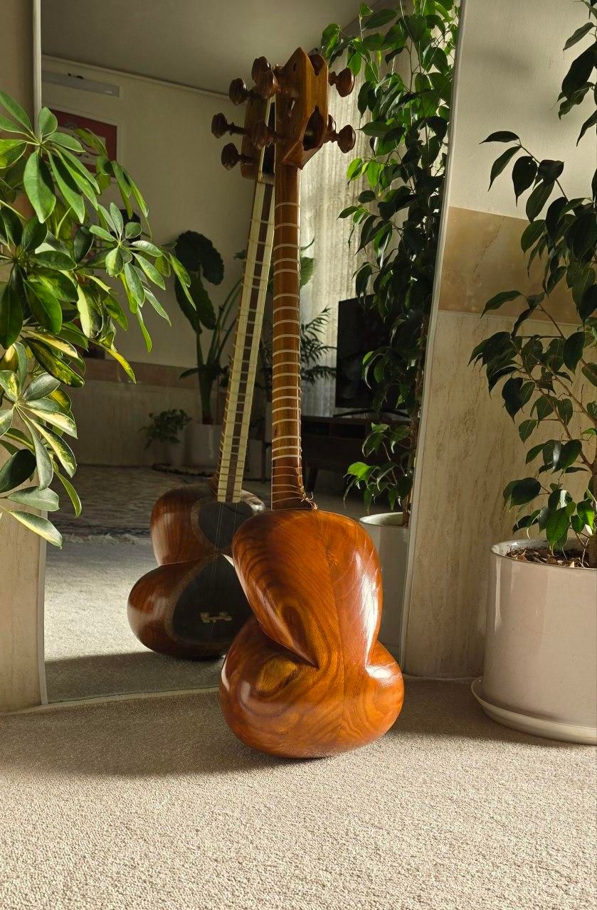 تار حرفه ای|سازهای سنتی|کاشمر, |دیوار