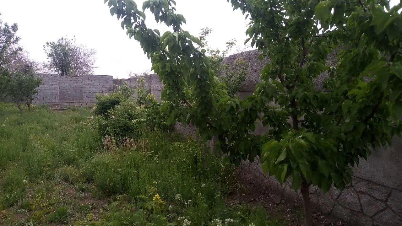 زمین باغی دور دیوار روستای جهانکوب|فروش زمین و ملک کلنگی|مشهد, توس فردوسی|دیوار