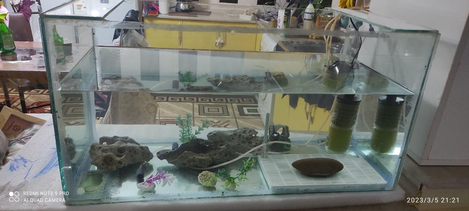 آکواریم دست ساز|ماهی|مبارکه, |دیوار