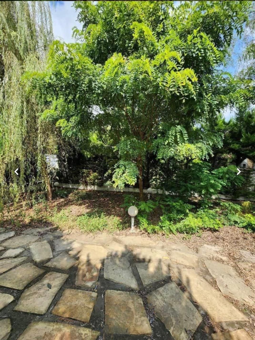 ۷۰۰میلیون زیرقیمت*فایل کاسبی*سنددار*بافت*|فروش خانه و ویلا|امامزاده عبدالله, |دیوار