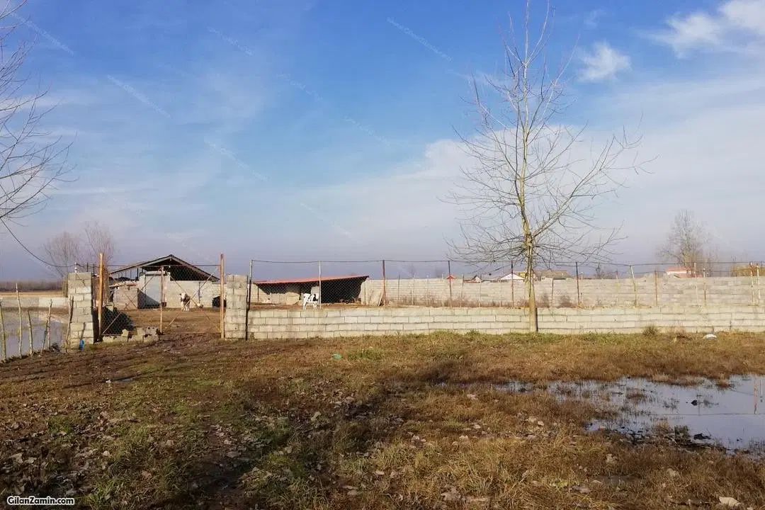 فرصت سرمایه‌گزاری استثنایی ۱۲/۵ هکتار زمین کردان|فروش دفتر صنعتی، کشاورزی، تجاری|کوهسار (البرز), |دیوار