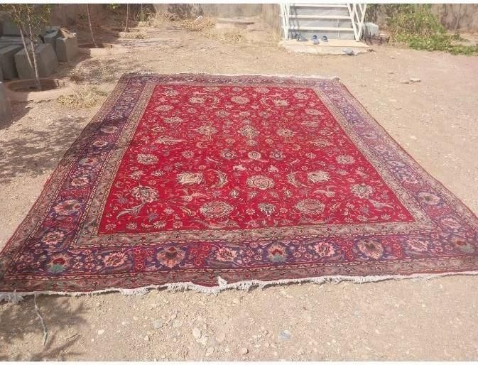 فرش دستباف|فرش|خوی, |دیوار