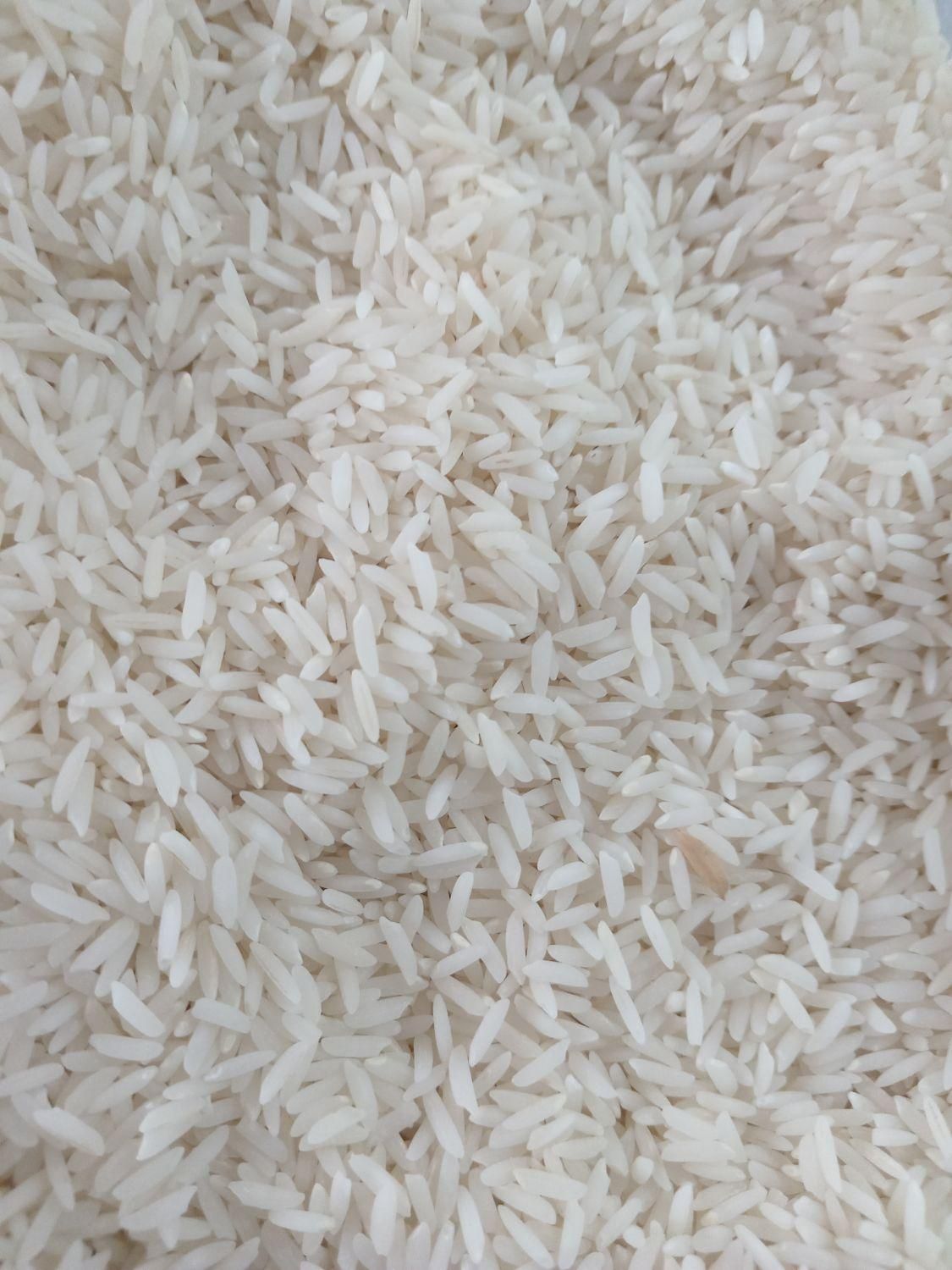 برنج طارم هاشمی درجه یک|خوردنی و آشامیدنی|شیروان (خراسان), |دیوار