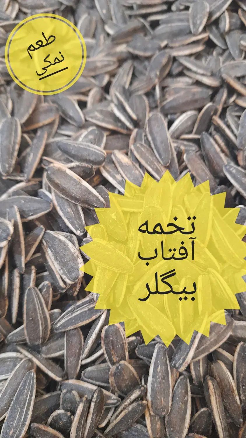 تخمه آفتابگردان خارجی|خوردنی و آشامیدنی|کرج, برغان|دیوار