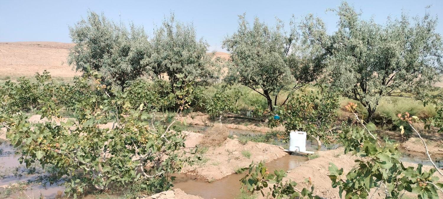 فروش زمین ۲۶۷۰ متری|فروش زمین و ملک کلنگی|آذرشهر, |دیوار