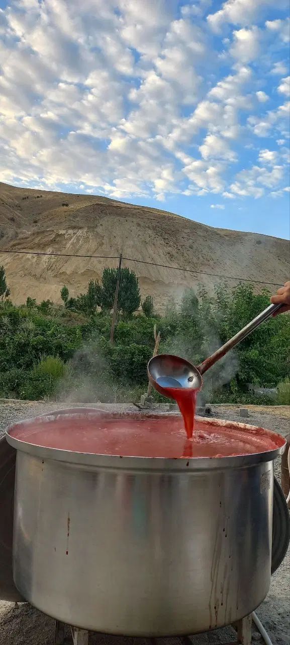 آب گیری گوجه با دستگاه تمام اتوماتیک و استیل|خدمات پیشه و مهارت|پیرانشهر, |دیوار