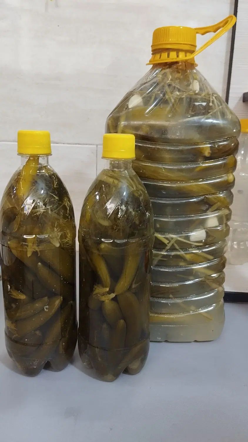 ترشی خانگی خوشمزه وسنتی خیارشور ،فلفل تند|خوردنی و آشامیدنی|مشهد, رستگار|دیوار