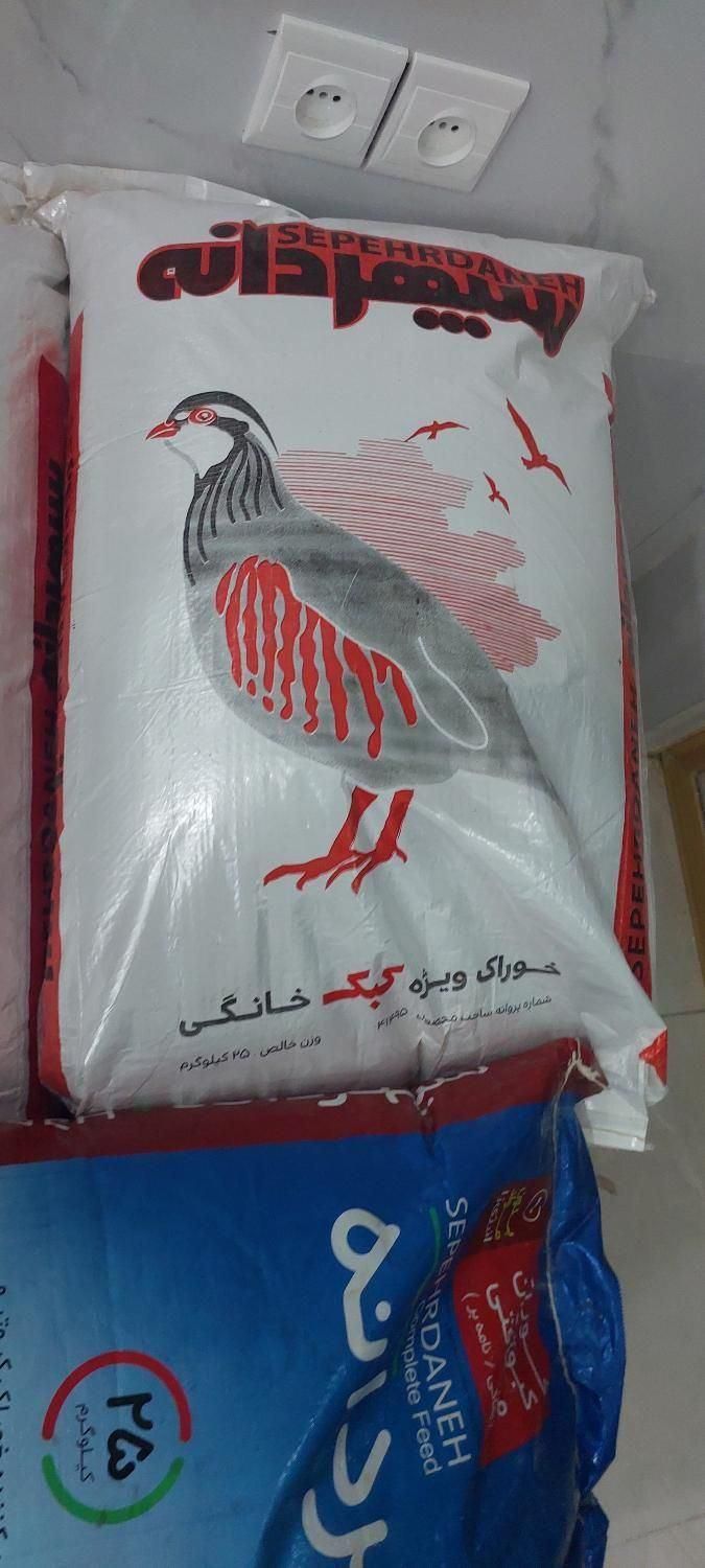 خوراک ویژه بلدرچین تخم گذار سپهردانه فروش اقساطی|لوازم جانبی حیوانات|آبادان, |دیوار