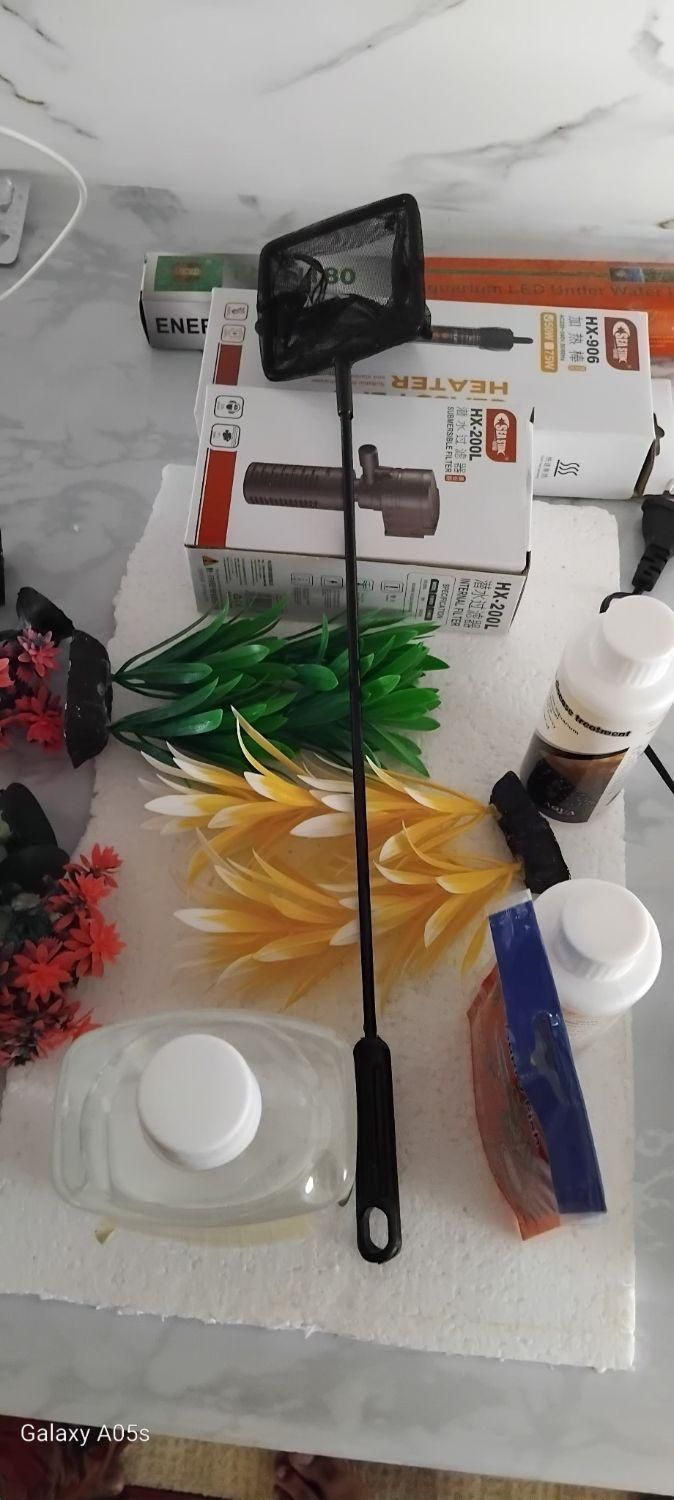 آکواریوم شیشه خم با لوازم|ماهی|بروجرد, |دیوار