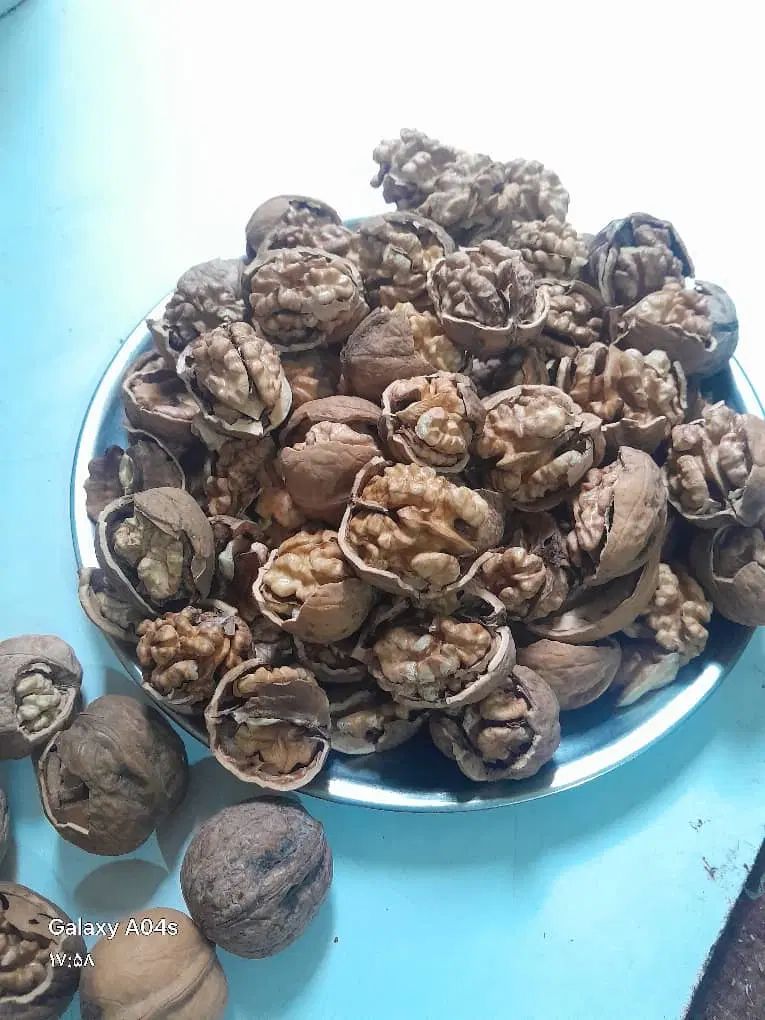اجاره گردو و بادام تکاندن گردو|خدمات باغبانی و درختکاری|اصفهان, تیران|دیوار