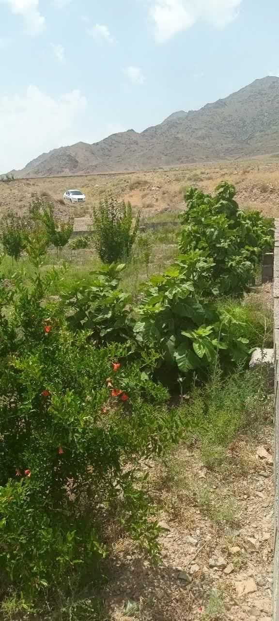 باغچه دنج زیبا روستای خوش اب وهوا زواریان|فروش زمین و ملک کلنگی|قم, بکایی|دیوار