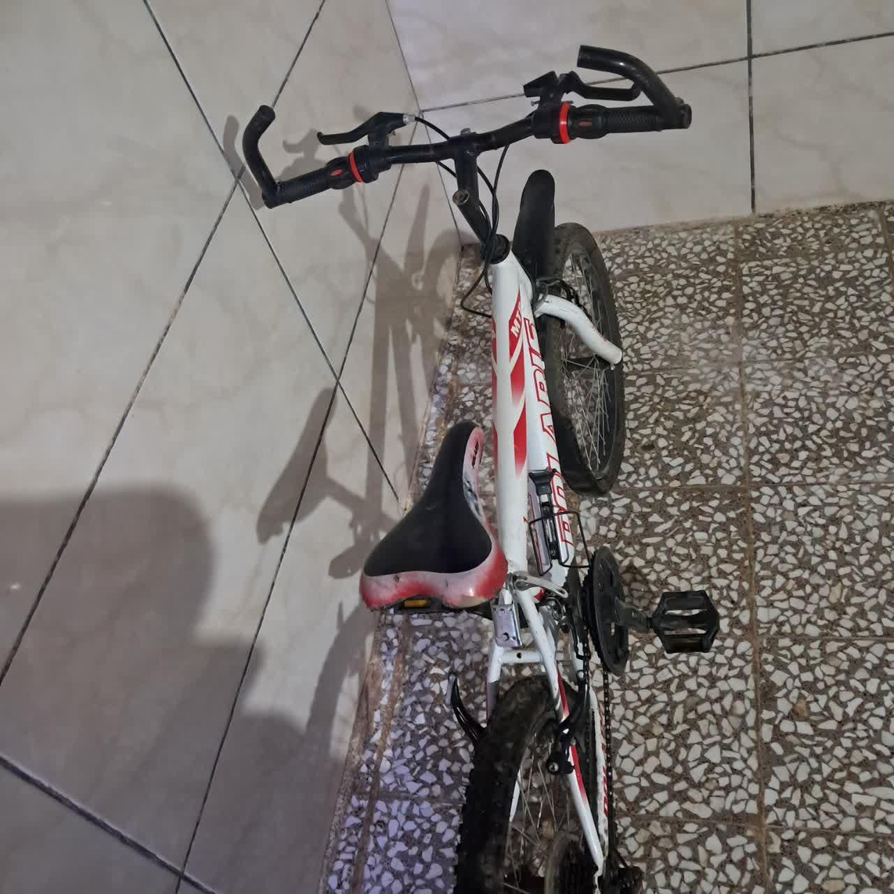 دوچرخه|دوچرخه، اسکیت، اسکوتر|قم, امامزاده ابراهیم|دیوار