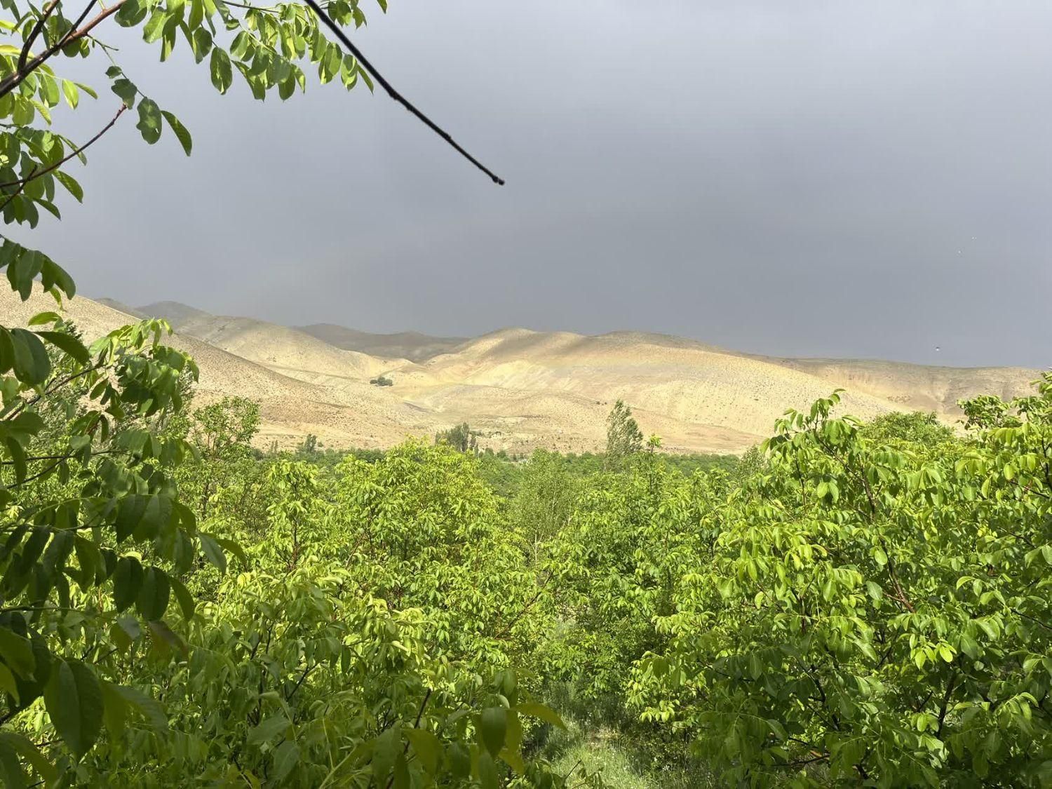 تنگه واشی خانه باغ|فروش دفتر صنعتی، کشاورزی، تجاری|فیروزکوه, |دیوار