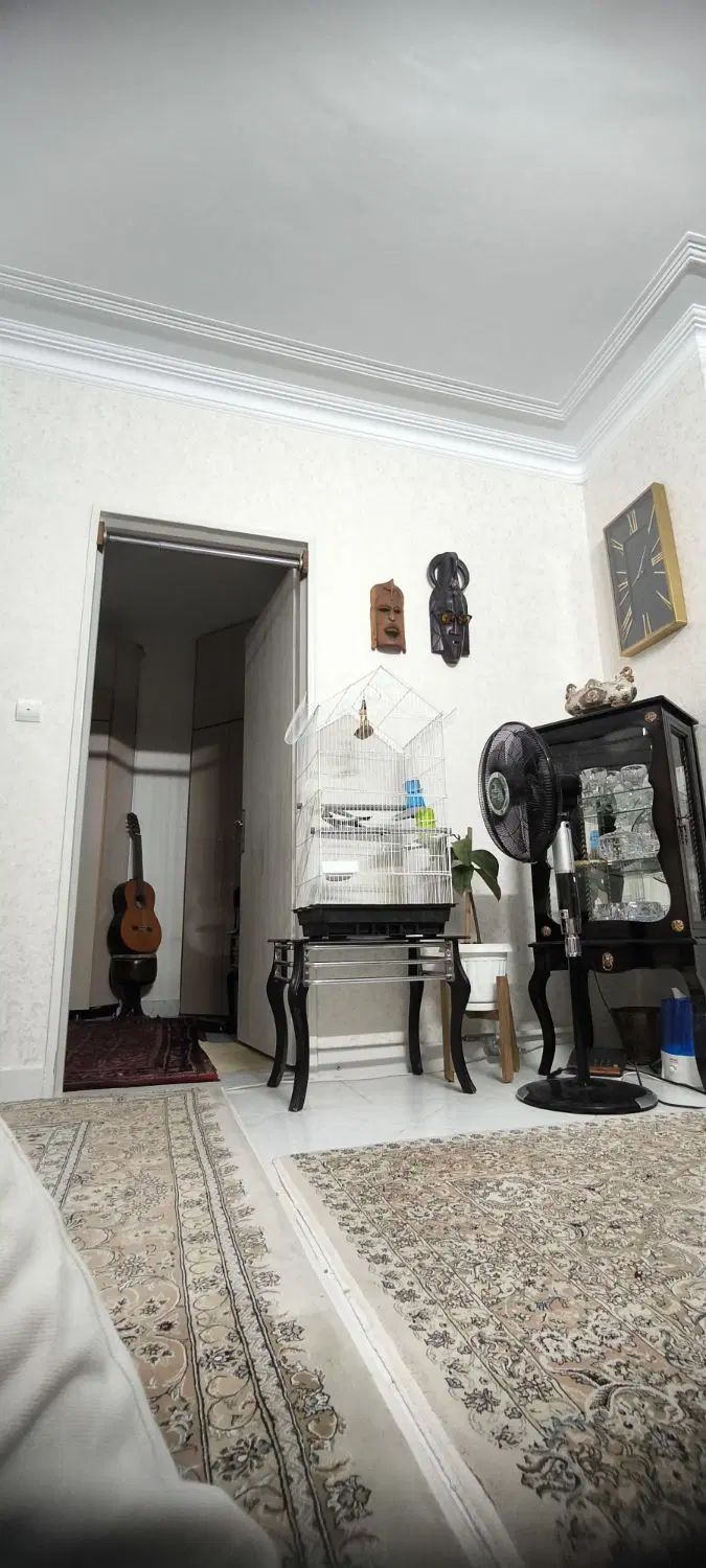 پرنده عروس هلندی|پرنده|تهران, صاحبقرانیه|دیوار