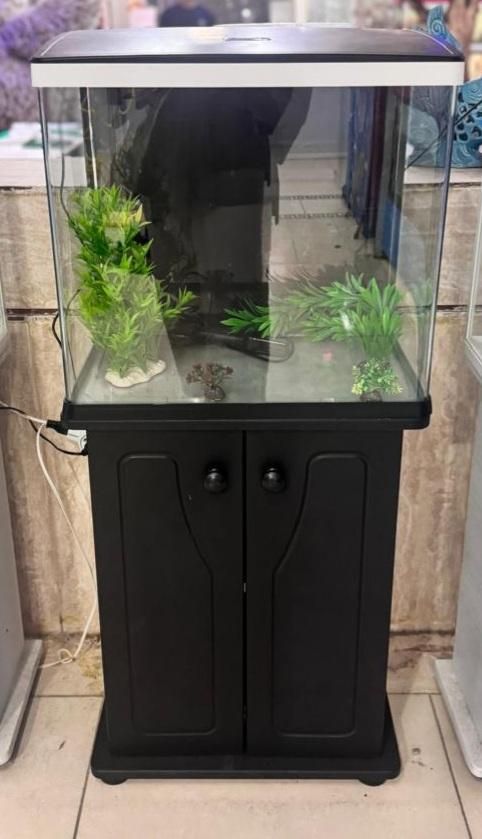 آکواریوم دلسا k500|ماهی|فسا, |دیوار