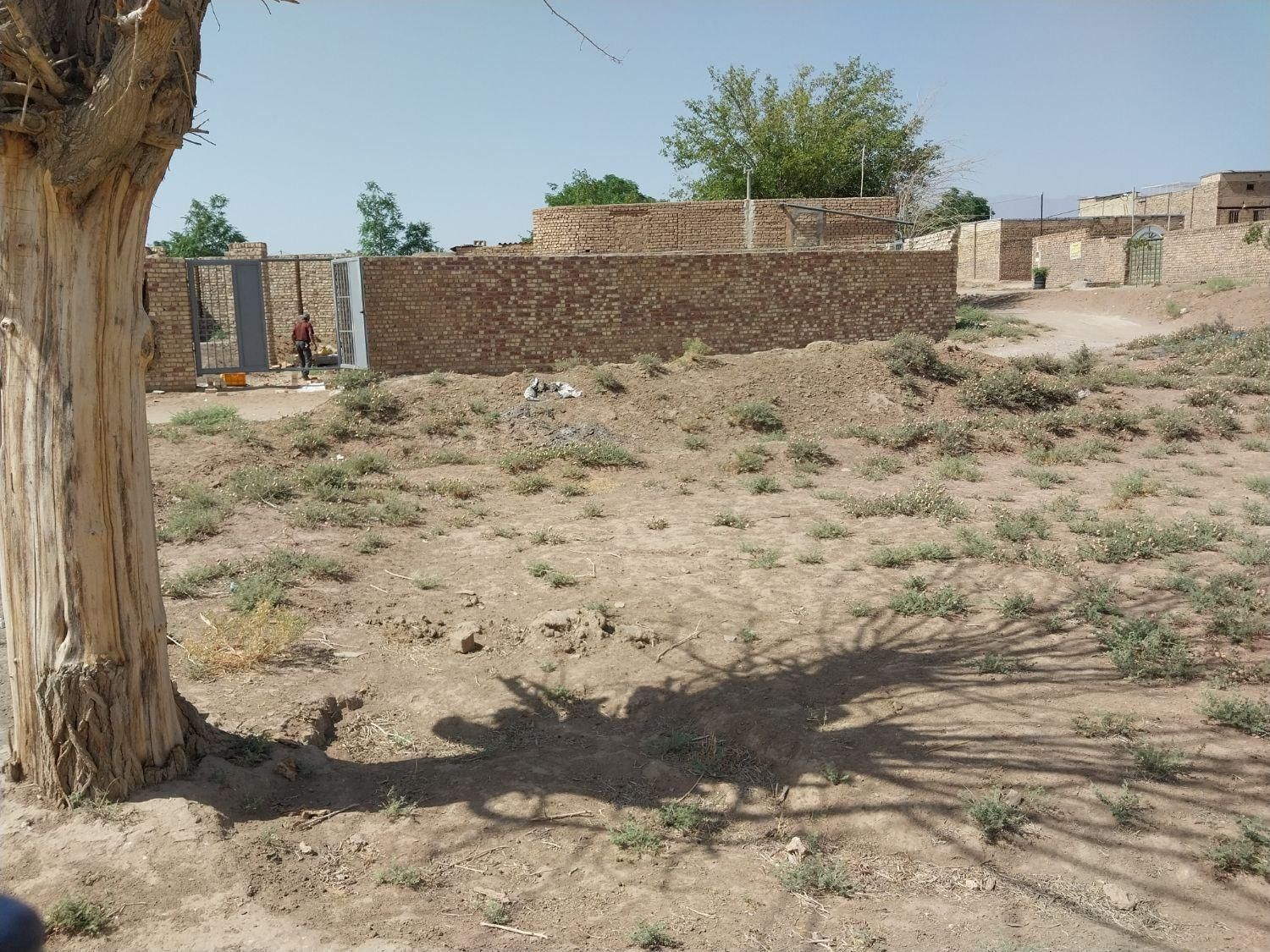 فروش زمین ۳۱۰ متری در مزرعه نو|فروش زمین و ملک کلنگی|کاشان, مزرعه نو|دیوار