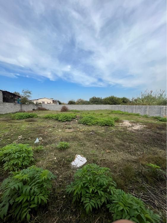 زمین مسکونی ۶۰۰ متری سنددار در کیاکلا|فروش زمین و ملک کلنگی|کیاکلا, |دیوار