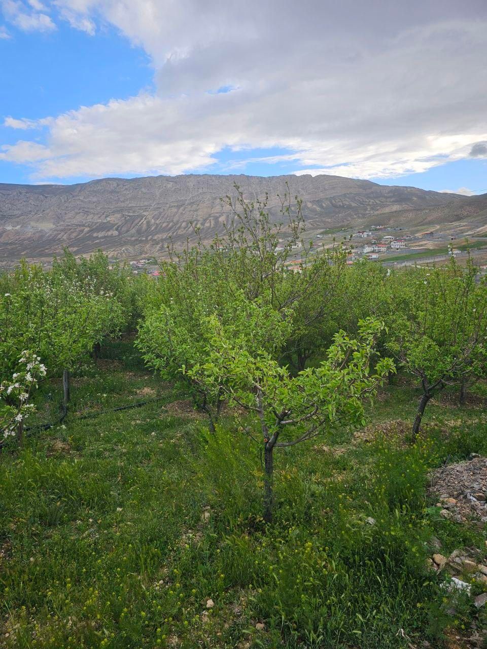 606 متر زمین ویلای دشت اول گرمابسرد دماوند|فروش زمین و ملک کلنگی|دماوند, دماوند|دیوار