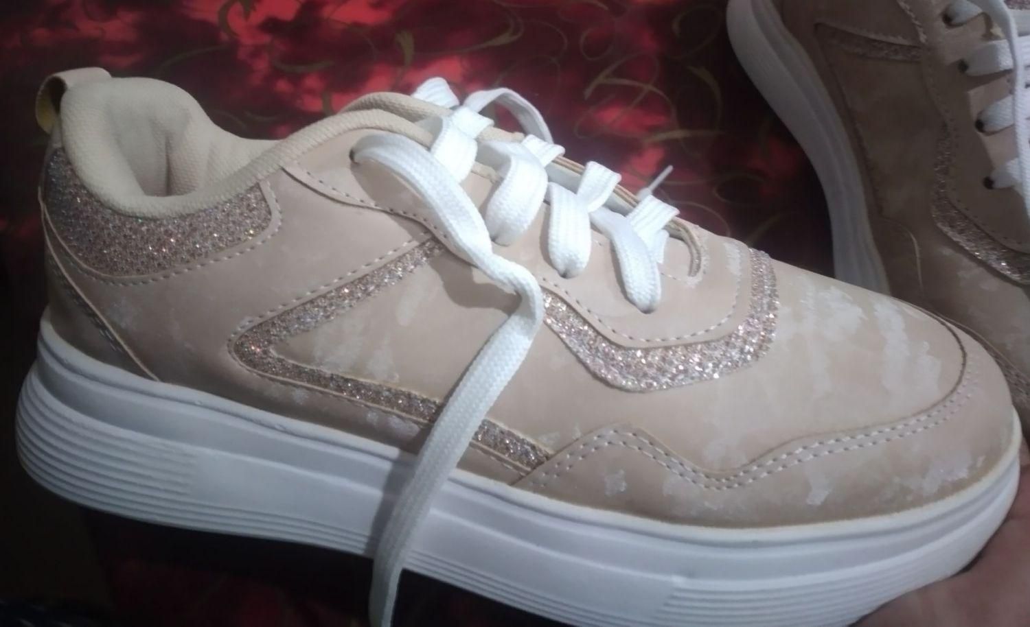 کفش نو|کیف، کفش، کمربند|شهرکرد, |دیوار