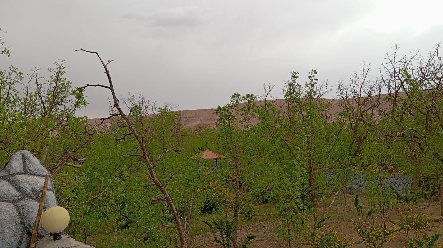 تصویر 18