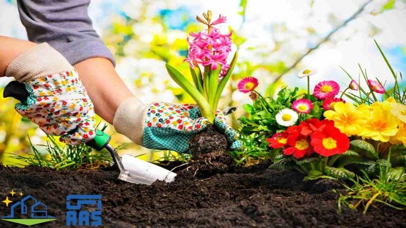 خدمات باغبانی گل کاری هرسکاری وتعویض خاک گلدون|خدمات باغبانی و درختکاری|تهران, تجریش|دیوار