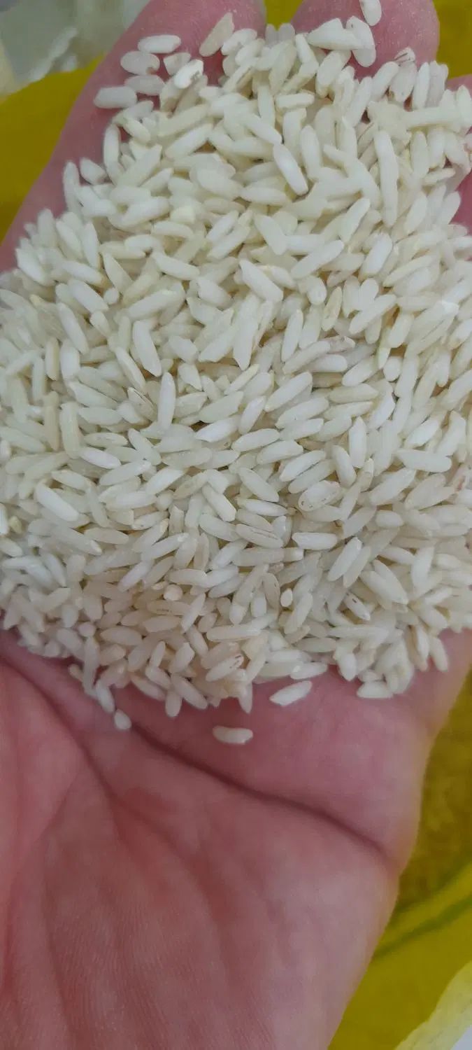 برنج عنبربو معطر          کالابرگ اصفهان کارت آزاد|خوردنی و آشامیدنی|اصفهان, رزمندگان|دیوار