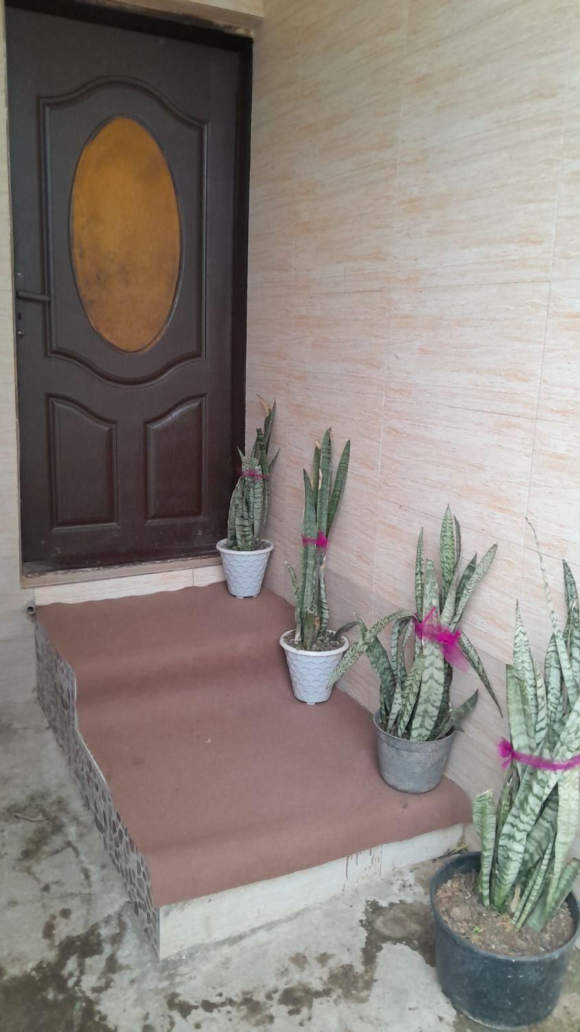 اجاره روزانه/هفتگی/ماهانه آپارتمان ۵۰ متری|اجارهٔ کوتاهمدت آپارتمان و سوئیت|رشت, لاکان|دیوار