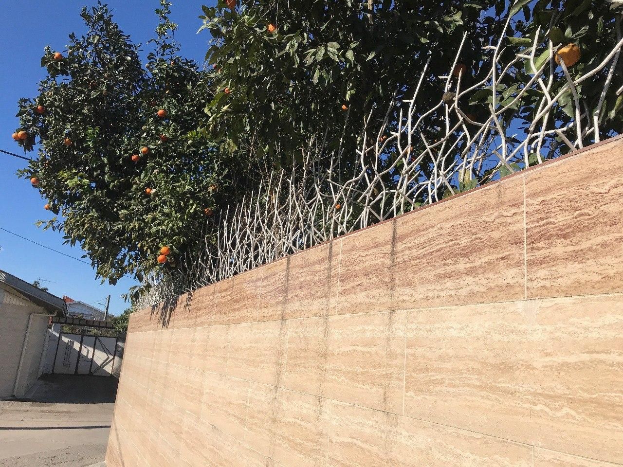 شاخ گوزنی با قیمت تولیدی + مشاوره رایگان|مصالح و تجهیزات ساختمان|بندر انزلی, پیل علی باغ|دیوار