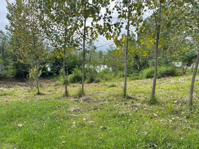 فروش زمین ۱۰۸۰ متری با پروانه ساخت  چماچاه|فروش زمین و ملک کلنگی|رشت, رشتیان|دیوار