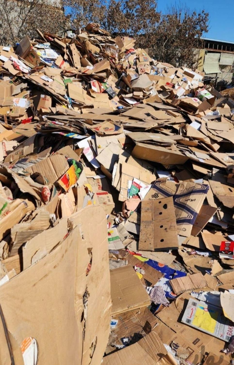 ضایعات کارتن به بالاترین قیمت|عمده‌فروشی|باقرشهر, |دیوار