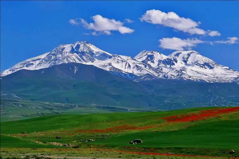 دورهمی شاد در طبیعت|تور و چارتر|کرج, گوهردشت|دیوار