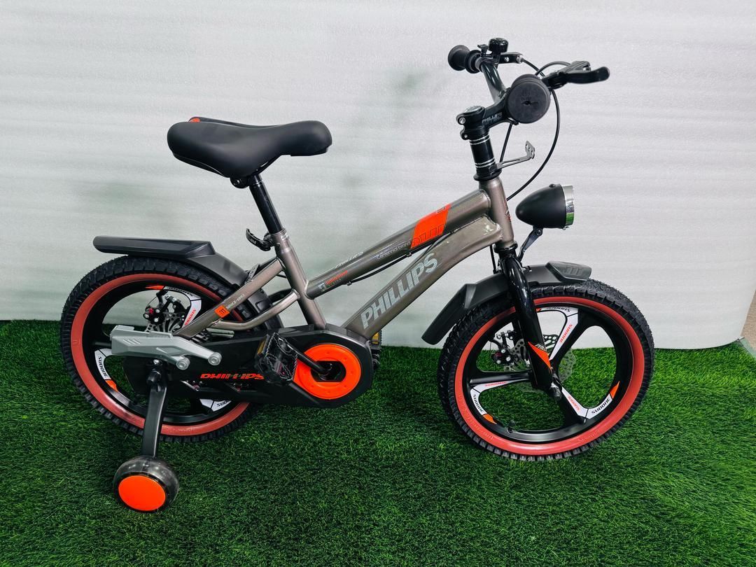 دوچرخه فلیپس اسپرت سایز ۱۶|دوچرخه، اسکیت، اسکوتر|قشم, |دیوار