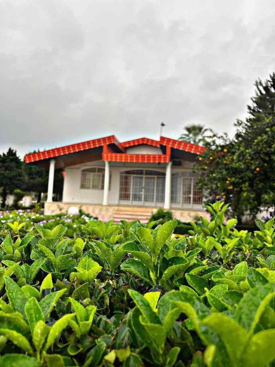 ویلا باغ جنگلی ساحلی شخصی ساز درمجتمع بااصالت|فروش خانه و ویلا|رویان, |دیوار