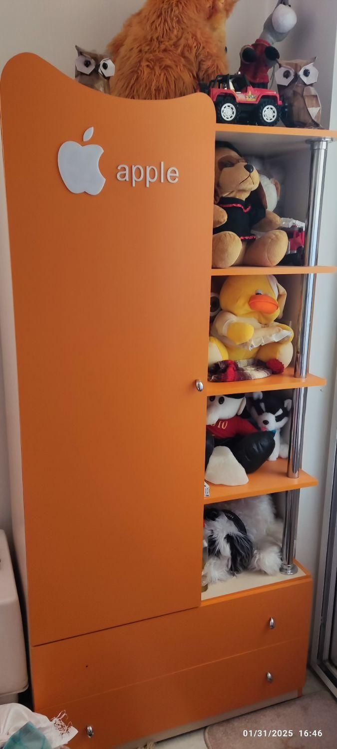 تخت و کمد کودک ونوجوان|تخت و سرویس خواب|صدرا-فارس, فاز ۱|دیوار