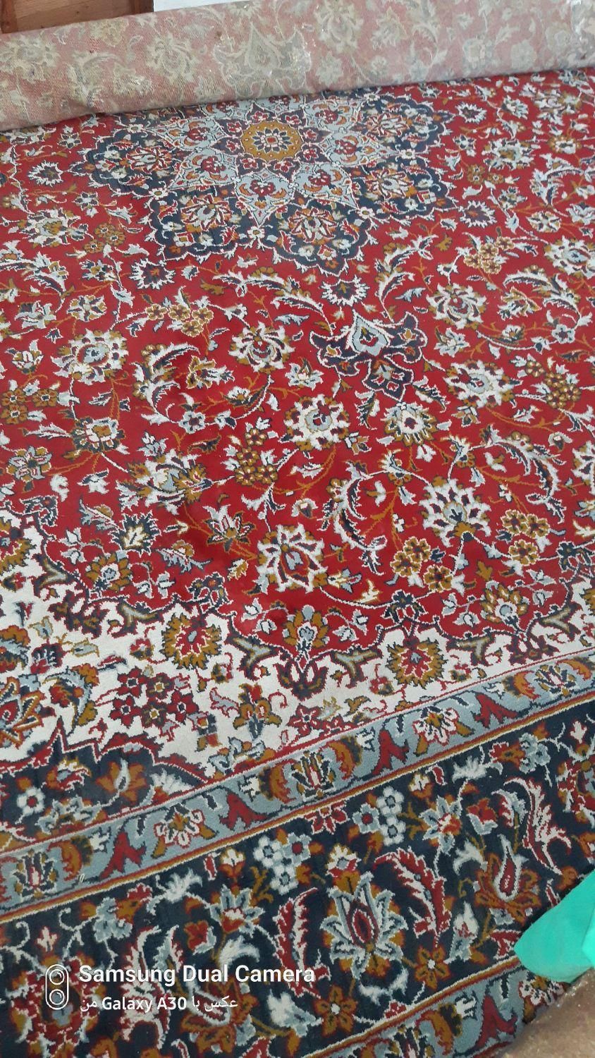 قالی دوازده متری ۳×۴رنگ لاکی|فرش|آمل, |دیوار
