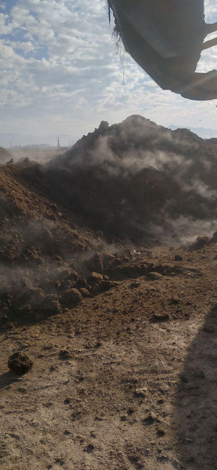 خرید فروش کود حیوانی|خدمات باغبانی و درختکاری|کوهدشت, |دیوار