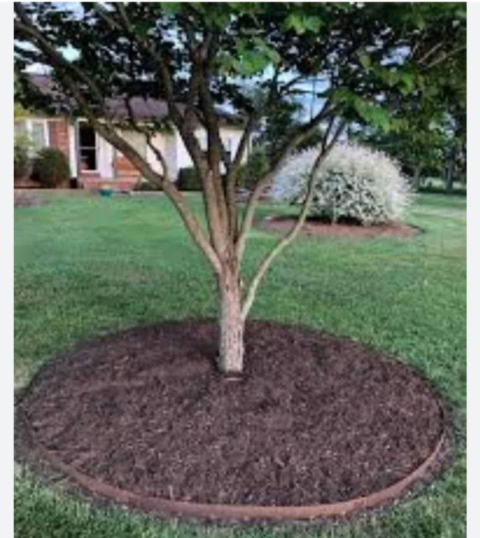 شخم زدن باغها محوطه تعویض خاک وباغبانی|خدمات باغبانی و درختکاری|شیراز, گویم|دیوار