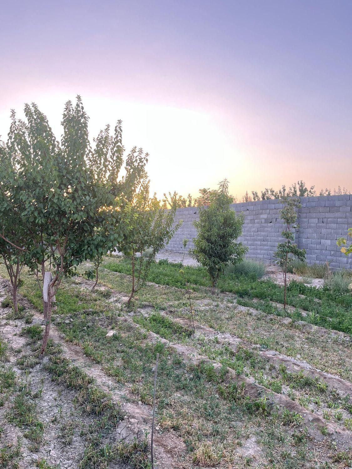آب شیرین/برقدار/باغ /چهاردیواری|فروش زمین و ملک کلنگی|اصفهان, اشکاوند|دیوار