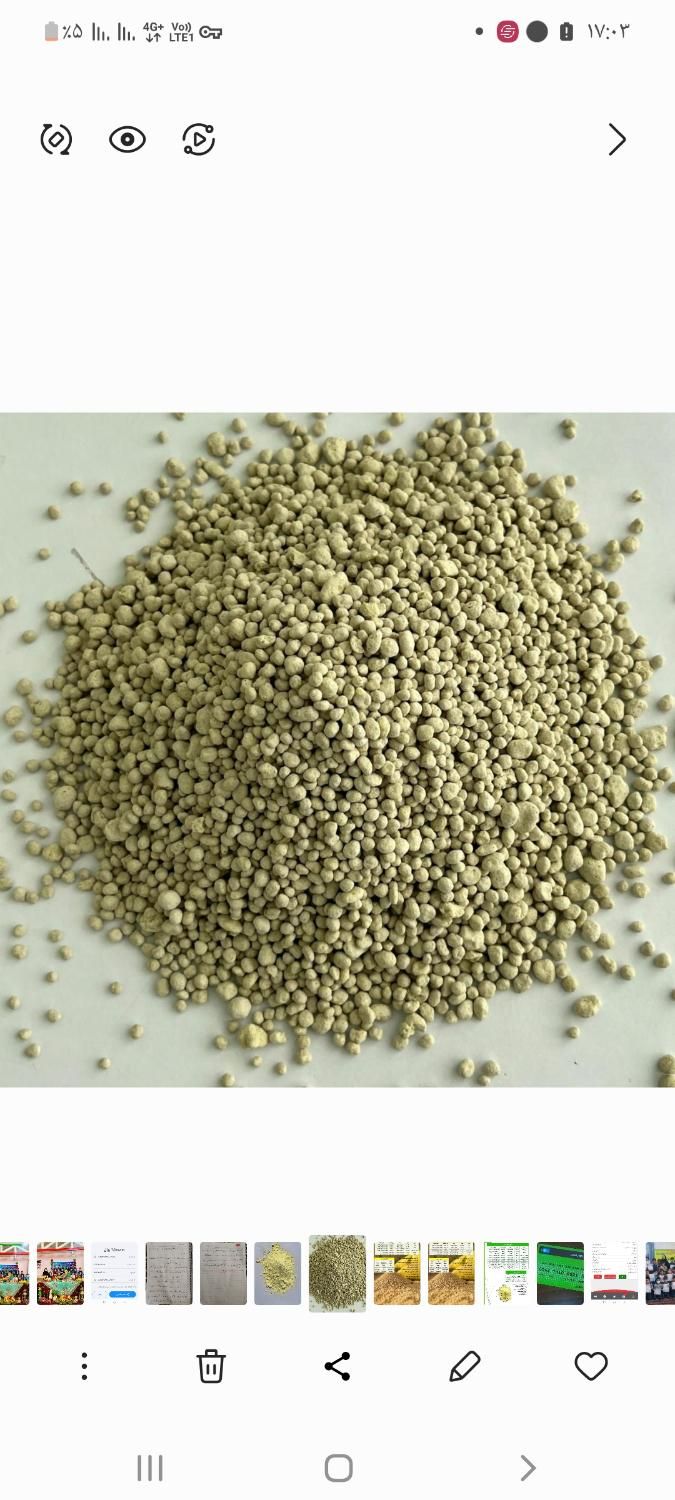 کود پلیت مرغی و گوگرد|لوازم جانبی حیوانات|زبرخان, |دیوار