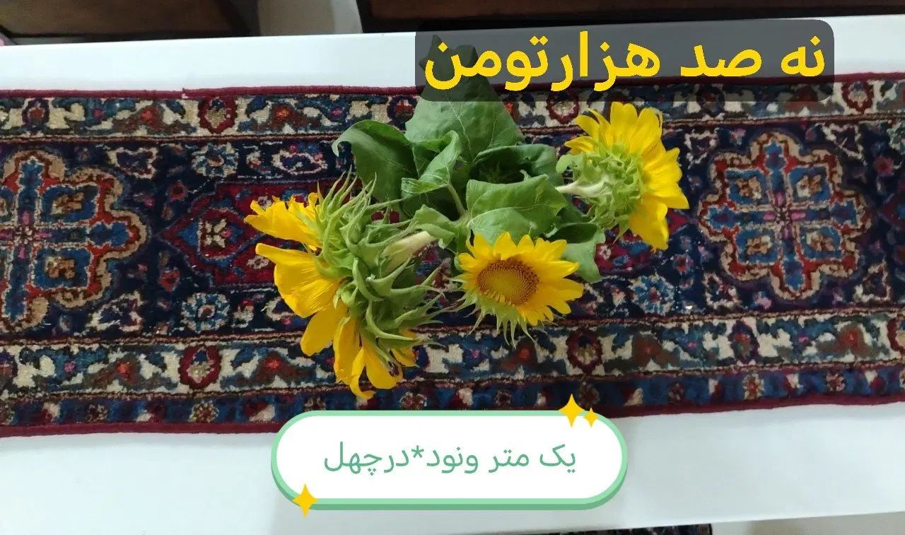رانرباقالیچه ی دست بافت در سایزهای مختلف|فرش|نیشابور, فضل|دیوار