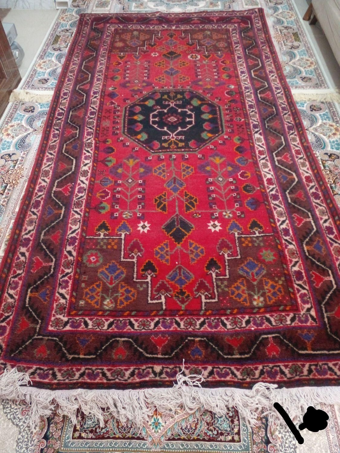 قالی (کوردی) کُردی در حد نو|فرش|اسفراین, |دیوار