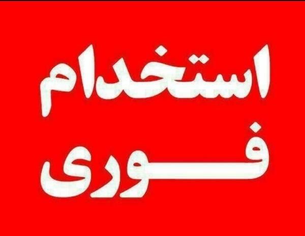 جذب نیروی کار آقا جهت انبار و مونتاژ|استخدام صنعتی، فنی، مهندسی|قم, آزادگان|دیوار