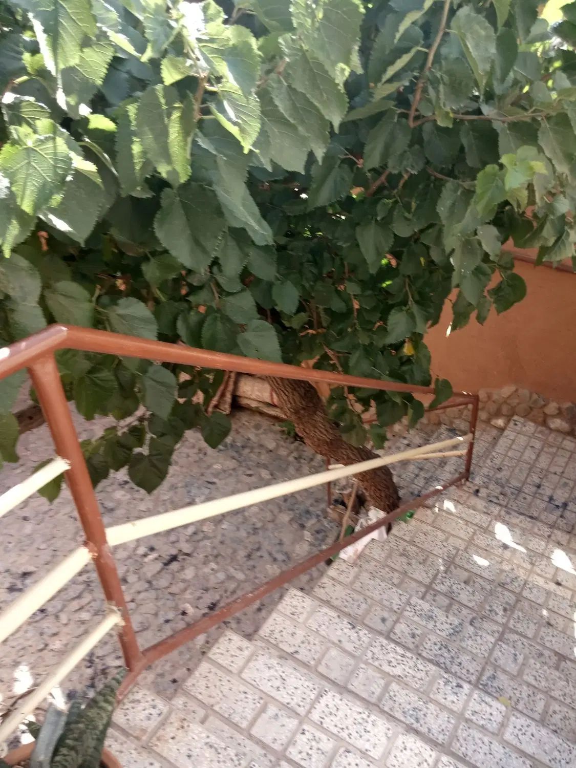 اجاره روزانه/هفتگی/ماهانه آپارتمان ۱۸۰ متری در فضل|اجارهٔ کوتاه‌مدت آپارتمان و سوئیت|نیشابور, فضل|دیوار