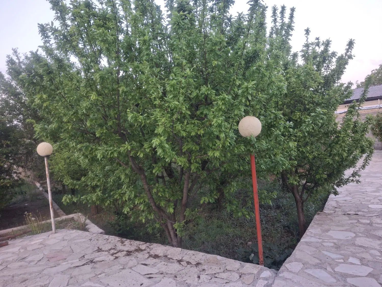 باغ در پره دارای گاز و برق و آب چاه عمیق لوله کشی|فروش زمین و ملک کلنگی|خوی, |دیوار